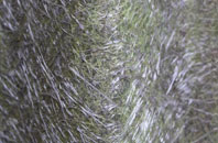 Bossall fibreglass roof work